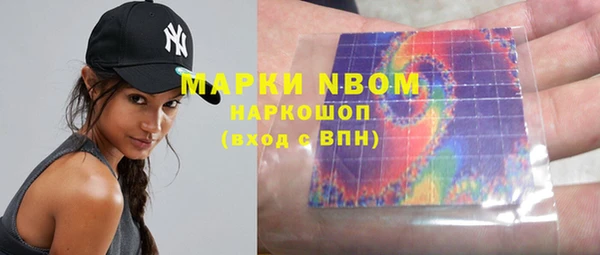ГАЛЛЮЦИНОГЕННЫЕ ГРИБЫ Белокуриха