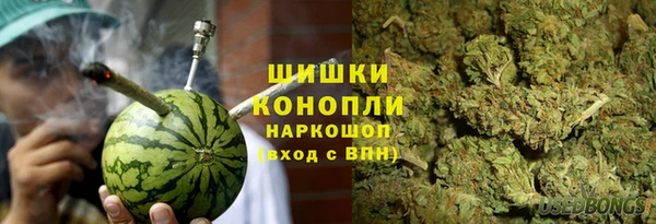ГАЛЛЮЦИНОГЕННЫЕ ГРИБЫ Белокуриха
